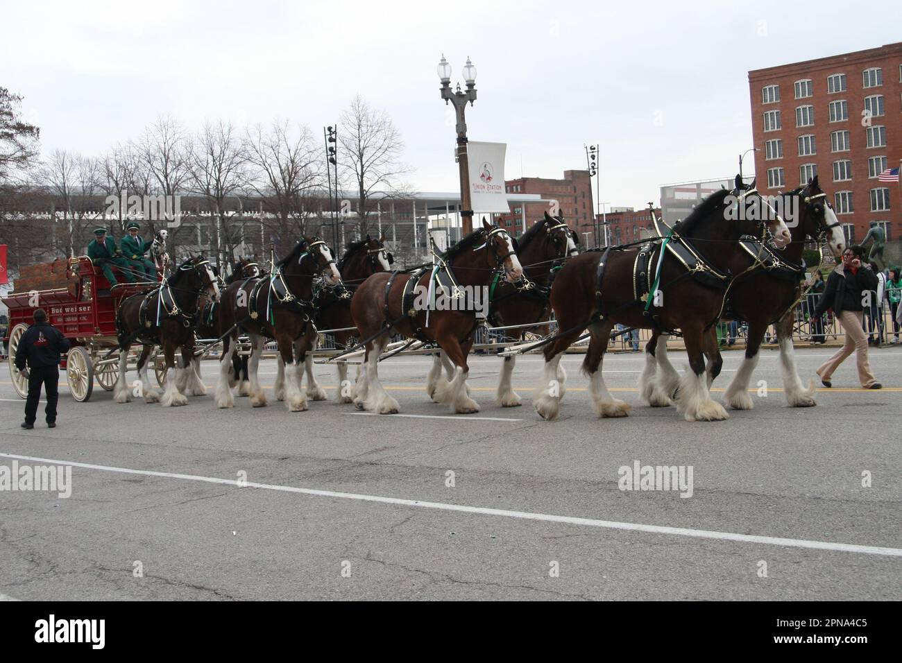 St Patrick's Day Parade 2023 si è diretto in Market Street a Broadway in Downtown St. Louis, Missouri, Stati Uniti Foto Stock
