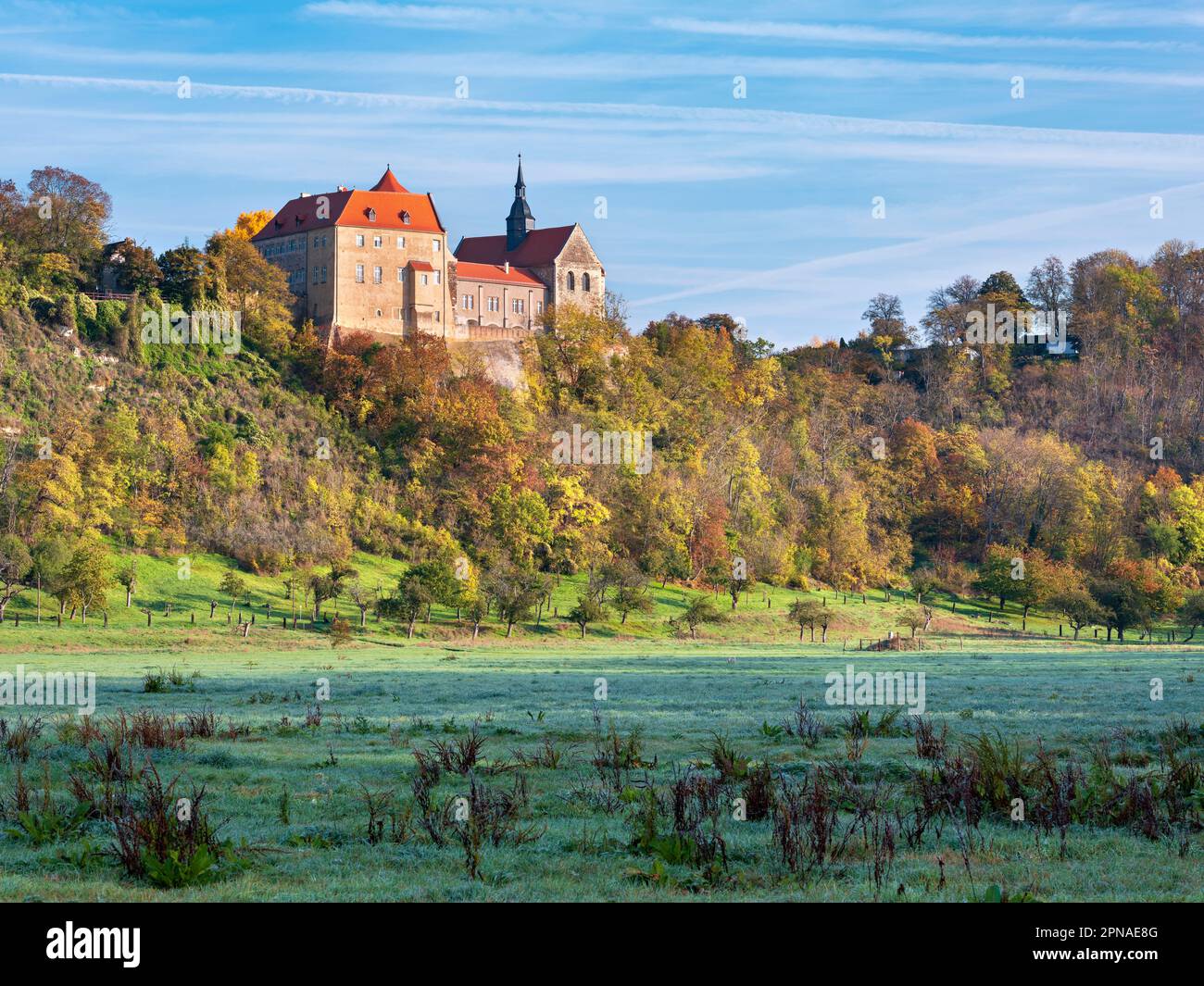 Castello di Goseck nella valle di Saale in autunno, Goseck, Burgenlandkreis, Sassonia-Anhalt, Germania Foto Stock