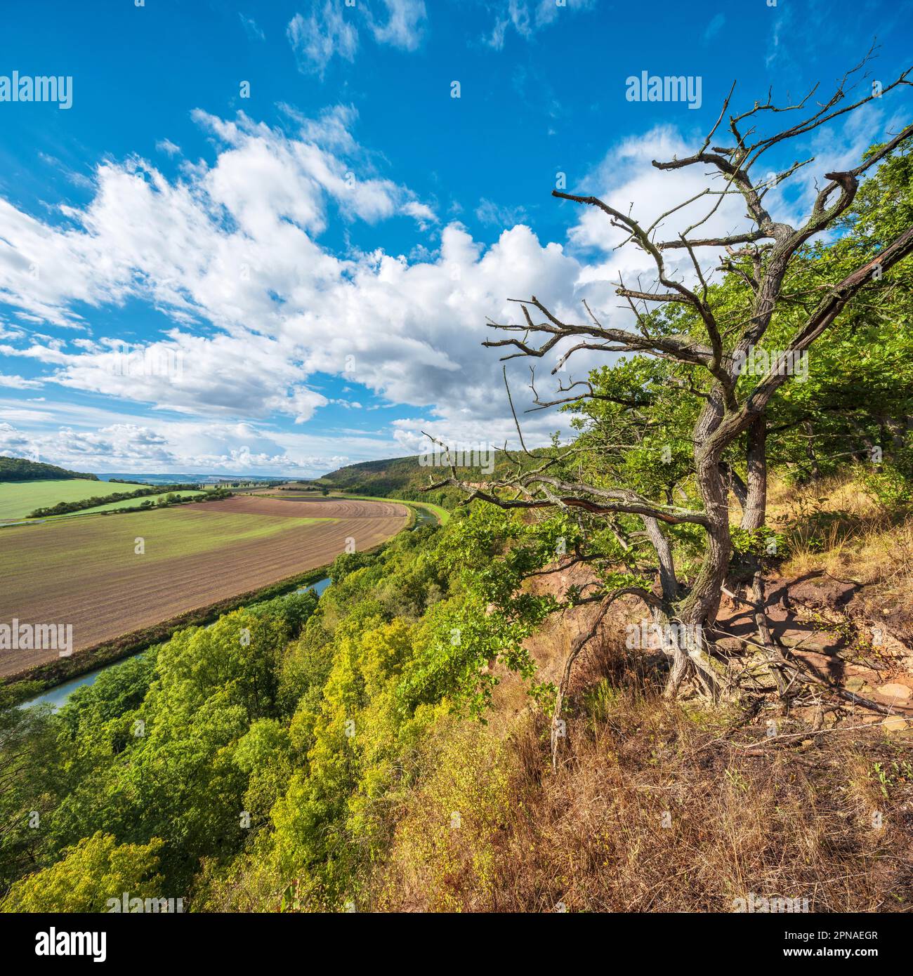 Vista sulla valle di Unstrut, il Parco Nazionale di Steinkloebe, Nebra, Burgenlandkreis, Sassonia-Anhalt, Germania Foto Stock