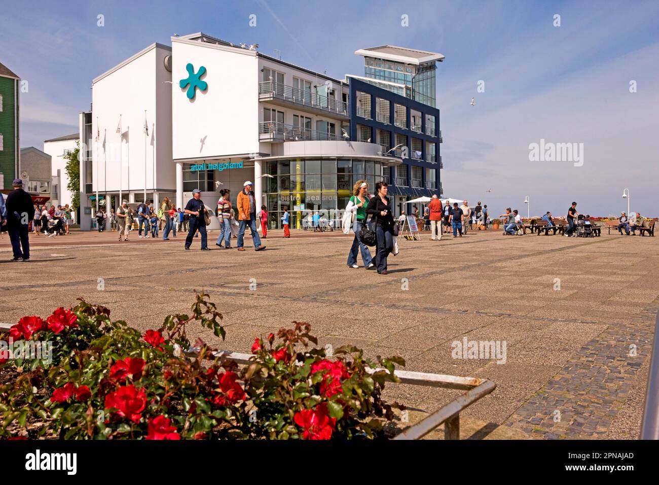 Aiuole al porto, Hotel Atoll, Helgoland, North Sea Island, Schleswig-Holstein, Germania Foto Stock