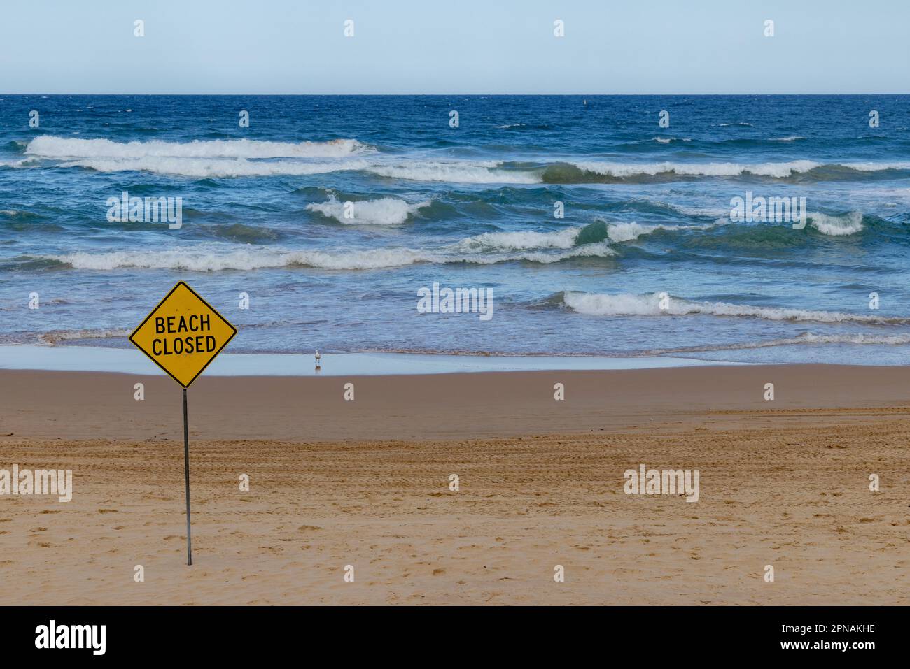 Cartello di chiusura della spiaggia. Manly Beach, Sydney Northern Beaches. Foto Stock