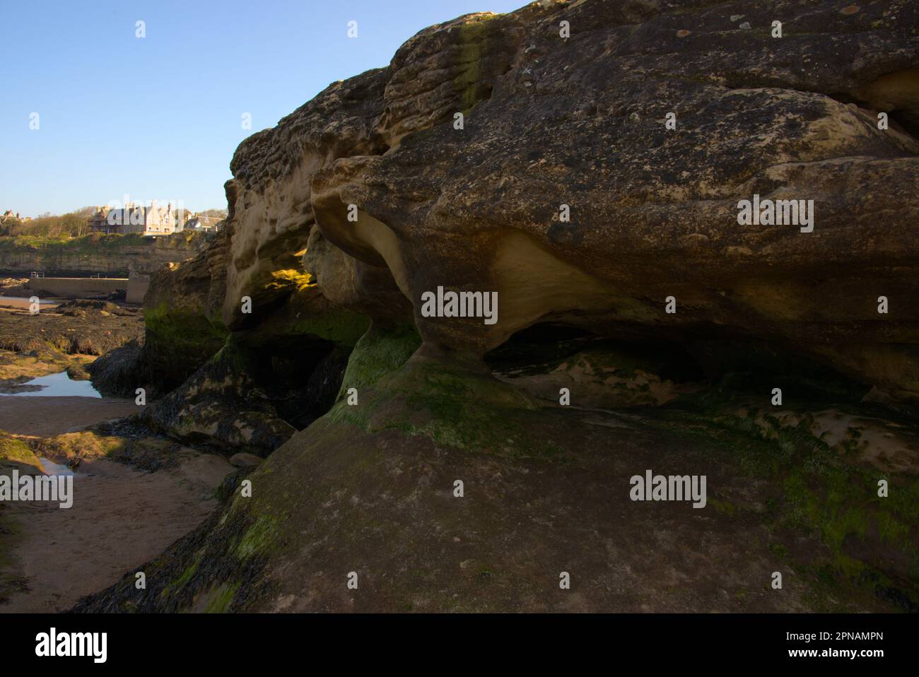rocce scolpite dal mare sulla spiaggia Foto Stock