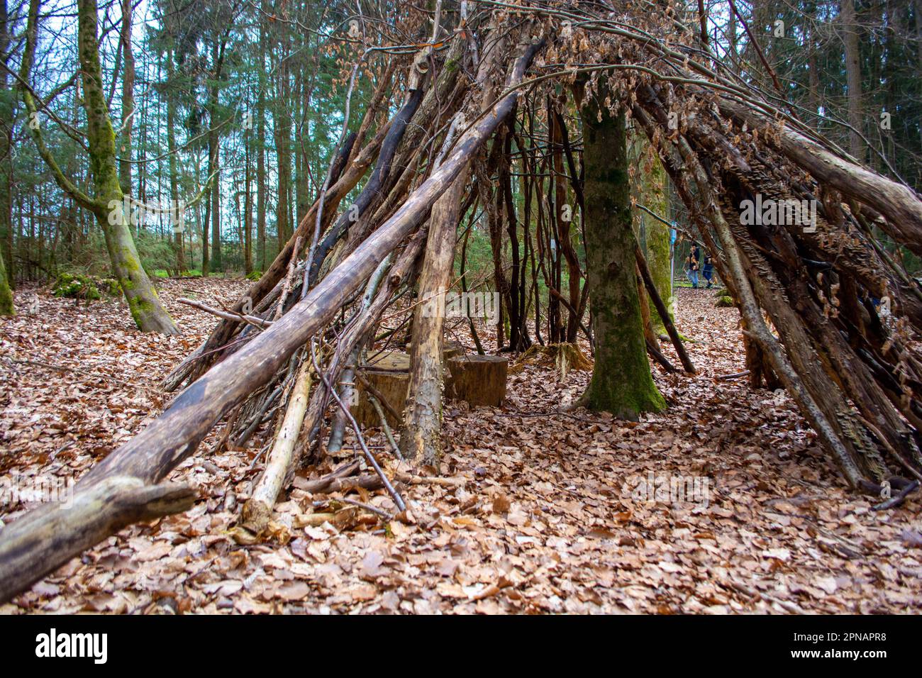 TIPI in una foresta di esperienze naturali a Bad Saulgau, Germania Foto Stock