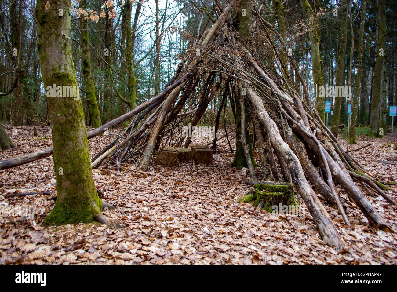 TIPI in una foresta di esperienze naturali a Bad Saulgau, Germania Foto Stock