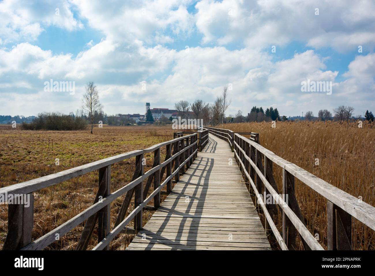 Passeggiata intorno al Federsee, patrimonio mondiale dell'unesco, Bad Buchau Foto Stock