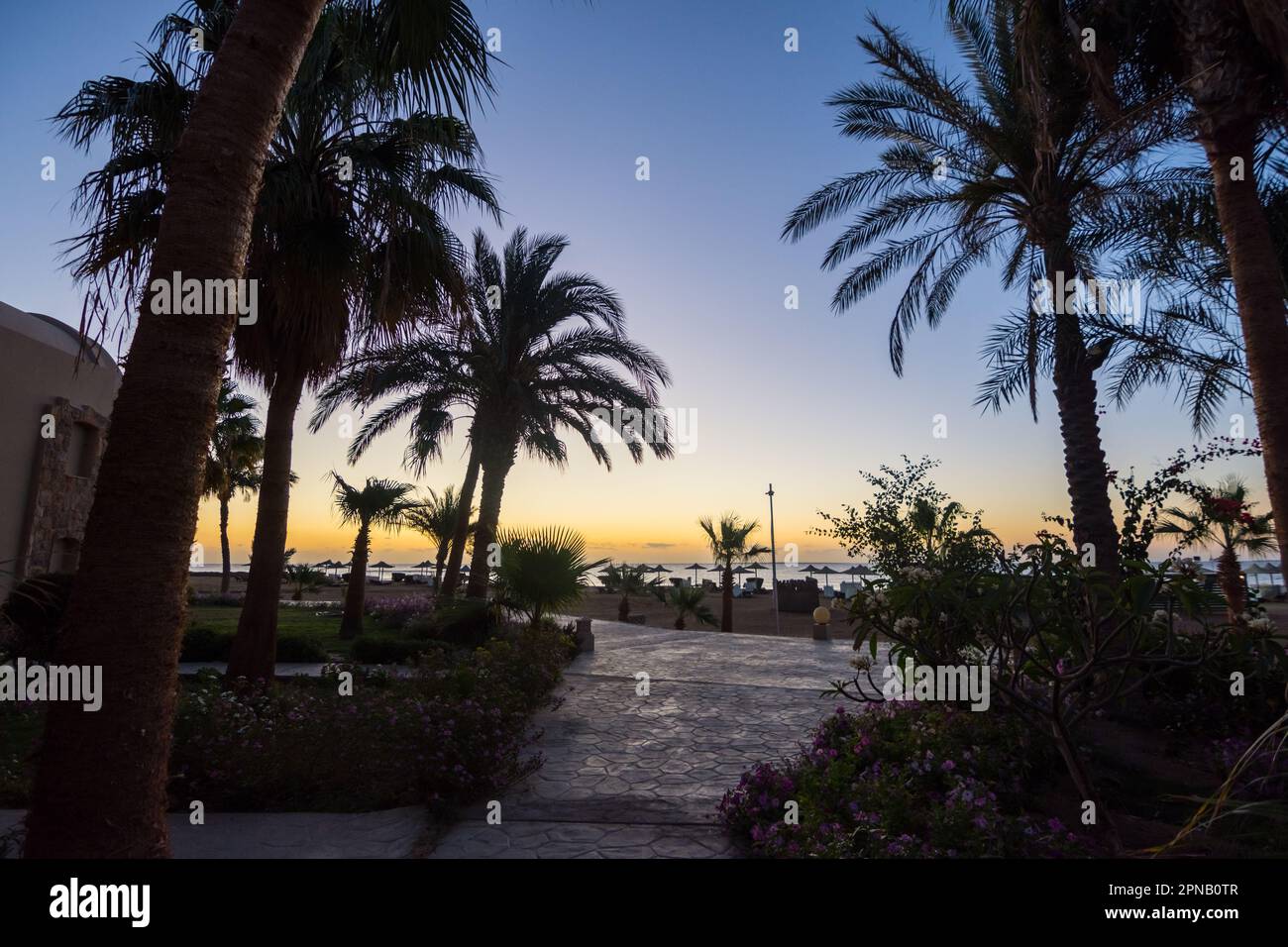 vista attraverso il resort con molte palme prima dell'alba in egitto Foto Stock