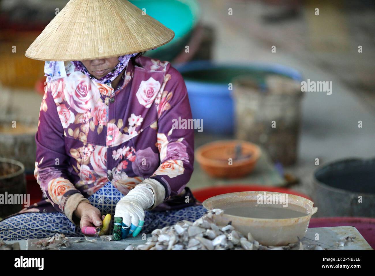 Donna al lavoro in una piccola fabbrica di pesce. Preparazione di filetti di pesce. Vung Tau. Vietnam. Foto Stock