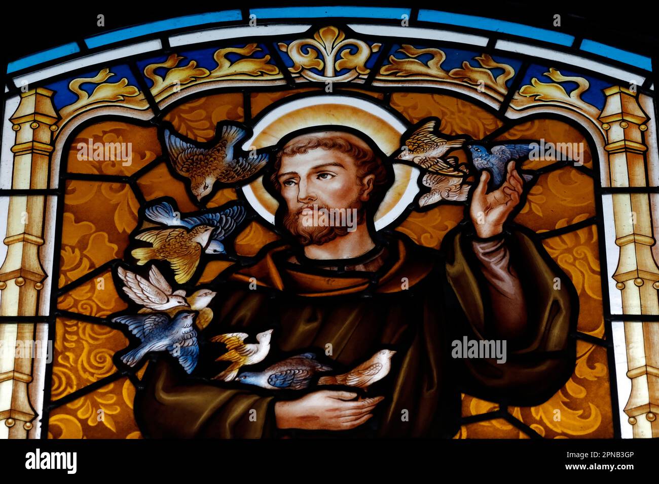 Chiesa di THI Nghe. Vetro colorato. San Francesco d'Assisi era un frate italiano cattolico che fondò i francescani. Fu ispirato a condurre una vita di Foto Stock