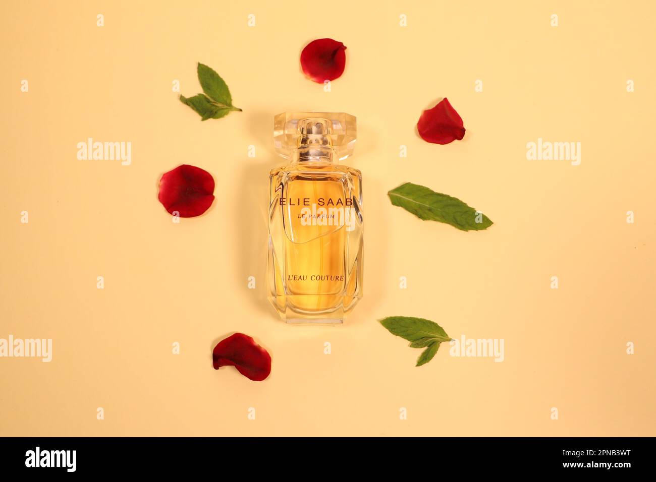 La bottiglia di profumo Elie Saab con delicati petali di rosa su sfondo marrone chiaro. Foto Stock
