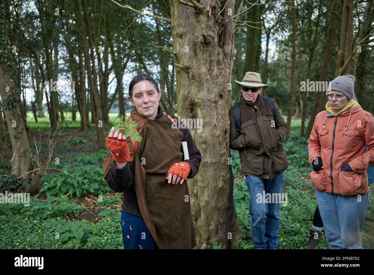 Foraging Instructor di WildUK, Kerry Woodfield, tiene un corso di foraggio sul terreno di Charlton Park Estate, Wiltshire, con Hemlock velenoso. Foto Stock