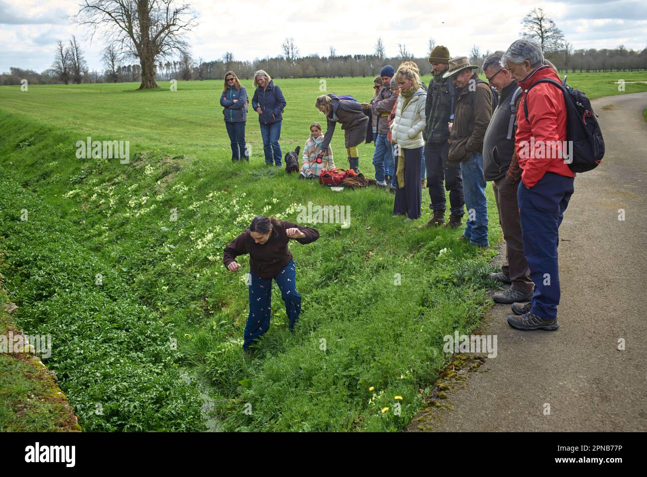 Foraging Instructor di WildUK, Kerry Woodfield, tiene un corso di foraging sul terreno di Charlton Park Estate, Wiltshire, Regno Unito. Attrice selvaggia Foto Stock