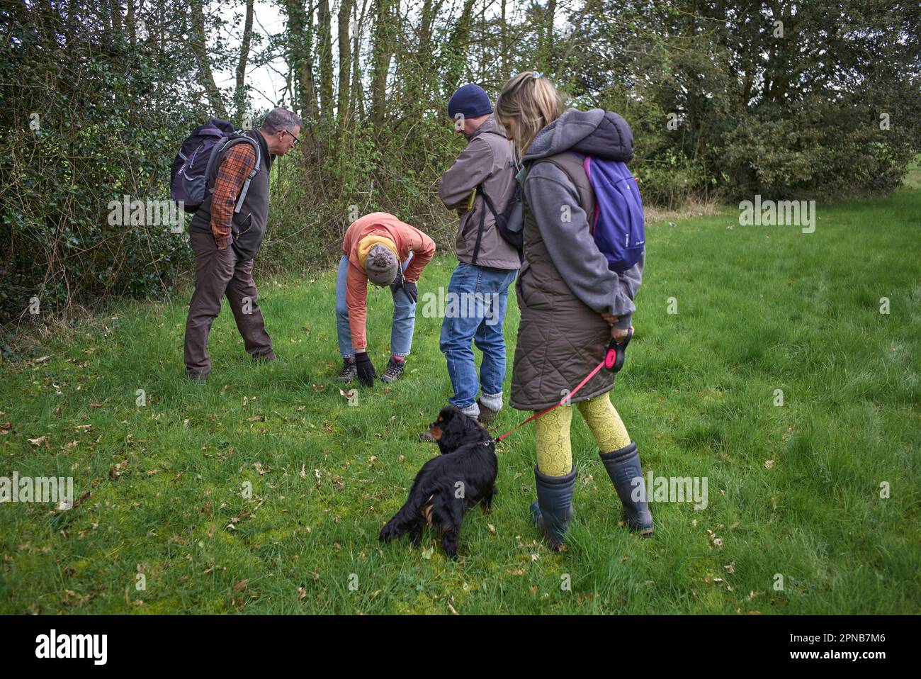 Foraging Instructor di WildUK, Kerry Woodfield, tiene un corso di foraging sul terreno di Charlton Park Estate, Wiltshire, Regno Unito Foto Stock