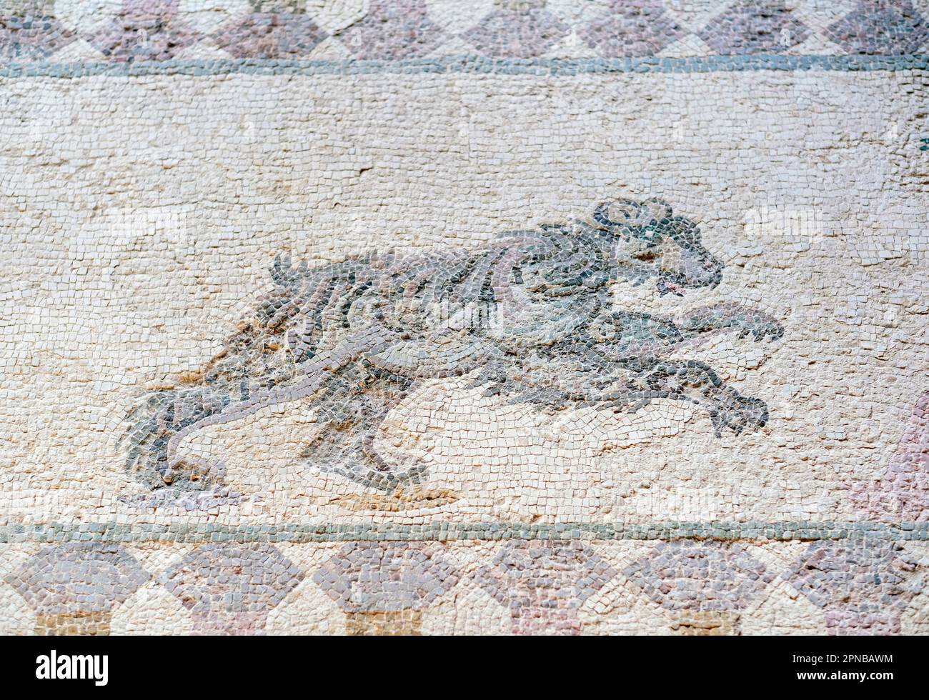 Scena di caccia, dettaglio di un orso, Casa di Dioniso, Paphos, Cipro (mosaico) Foto Stock