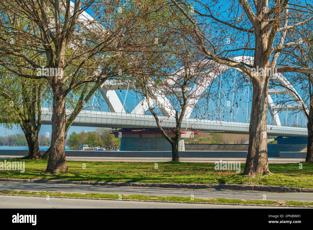 Novi Sad Quay vicino al fiume Danubio con il ponte Zezelj dietro le cime degli alberi nella soleggiata giornata primaverile, fuoco selettivo Foto Stock