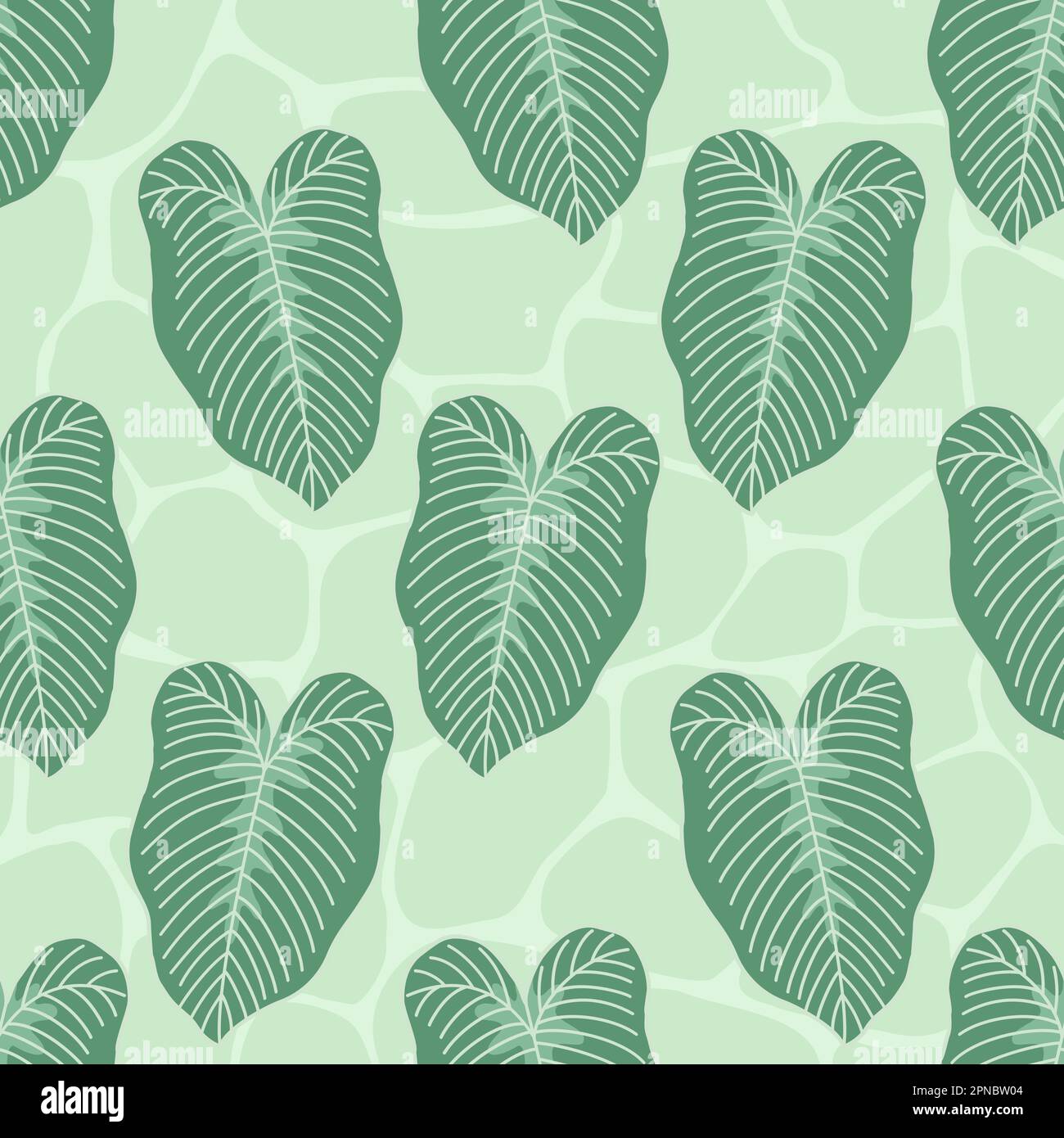 pianta tropicale caladium lindenii foglie senza cuciture modello Illustrazione Vettoriale