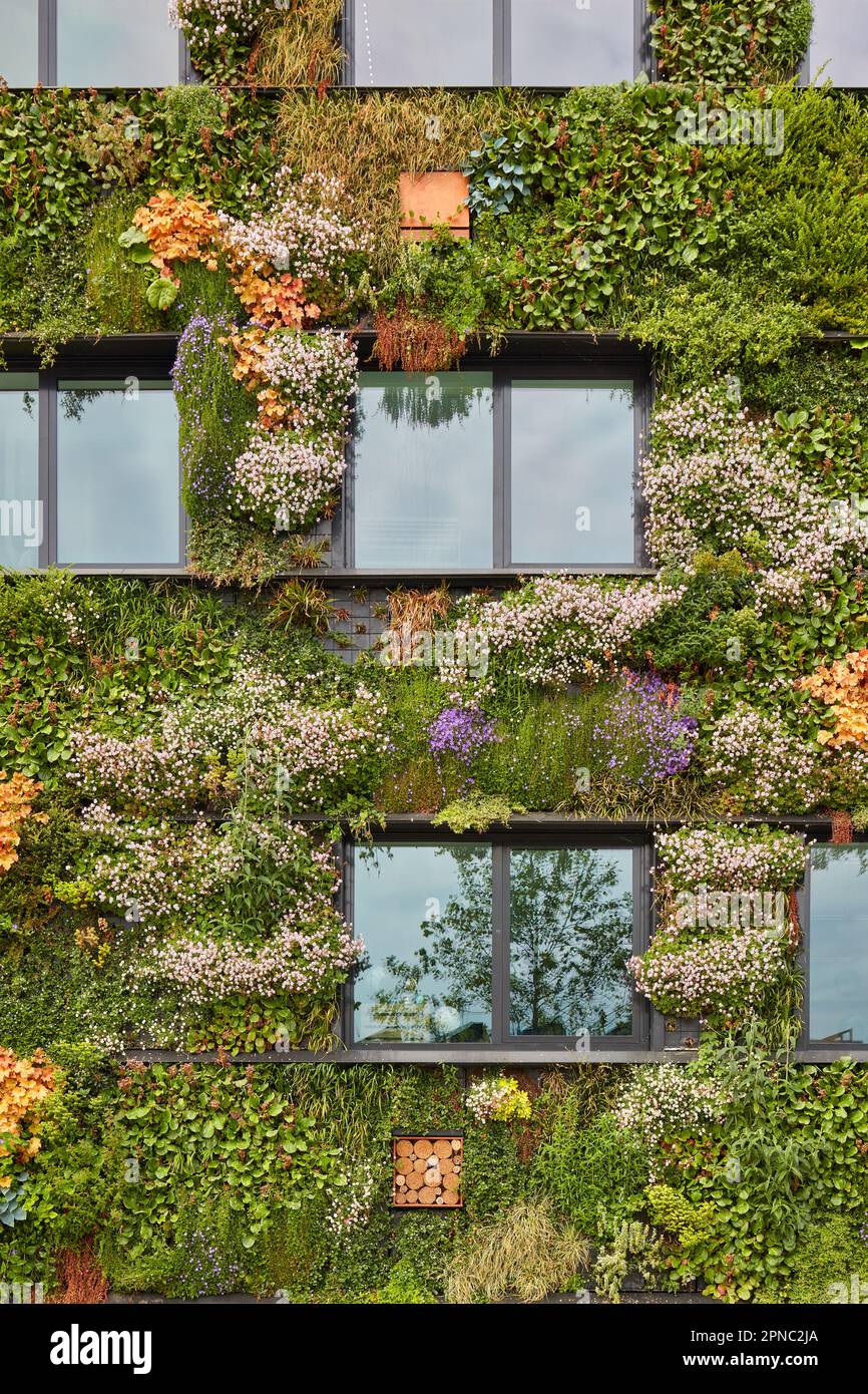 Esterno di un edificio verde sostenibile coperto da piante verticali pendenti fiorenti Foto Stock