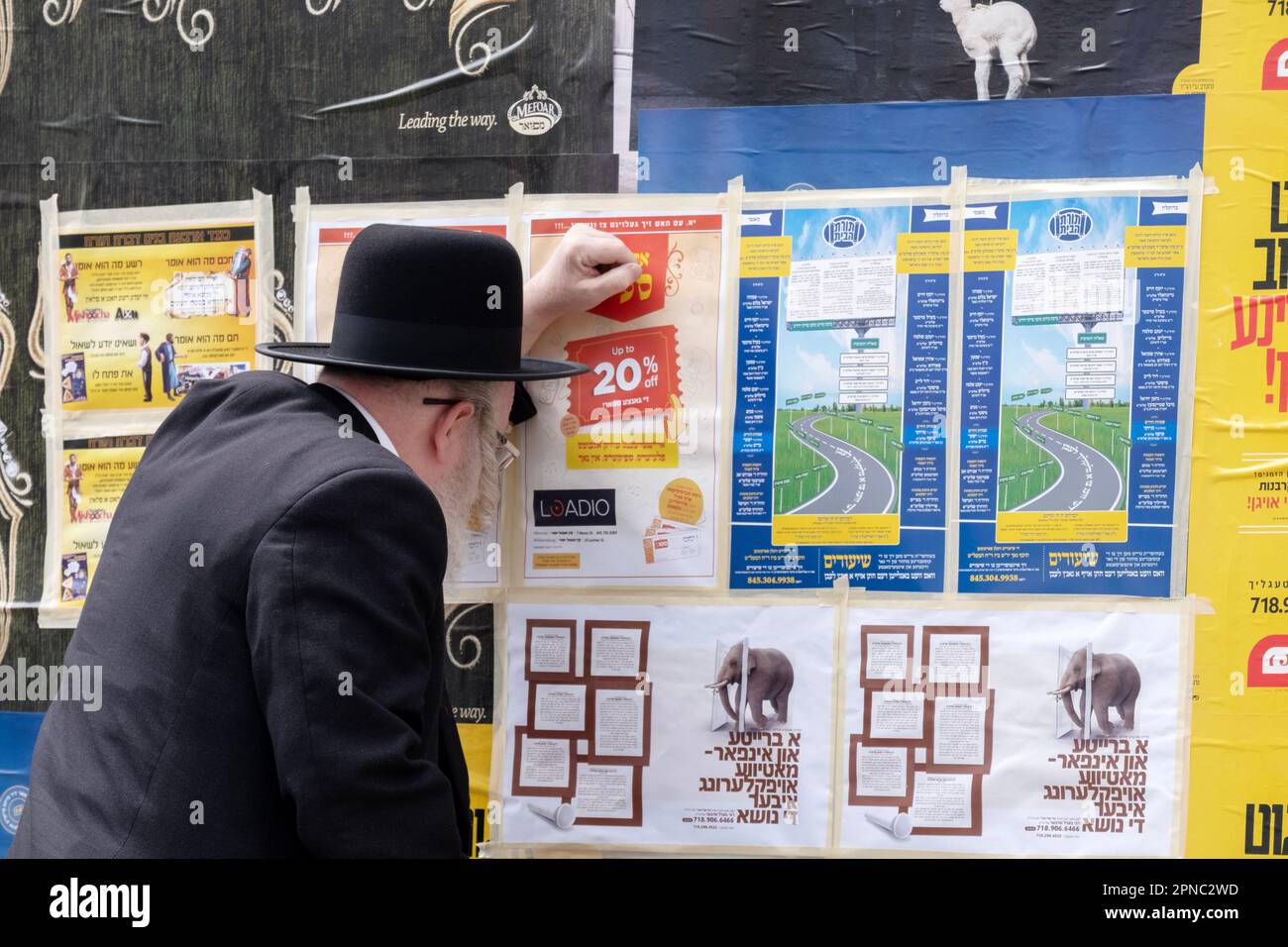 Un più vecchio uomo hassidico con lungo peyus bianco legge i manifesti pubblicitari che sono principalmente in Yiddish con un certo inglese & ebraico. A Brookklyn, New York. Foto Stock