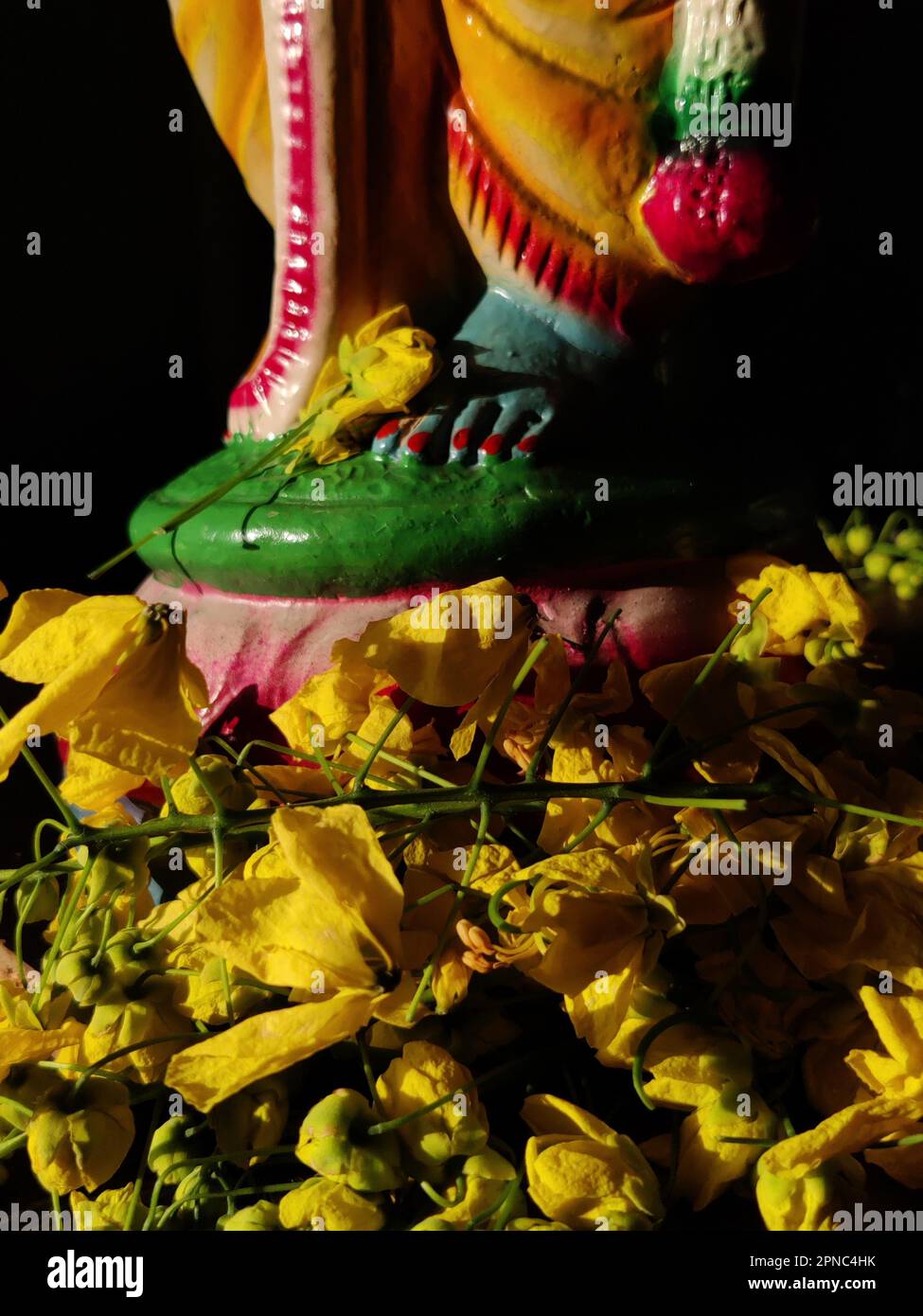 Primo piano dei piedi loto del Signore Krishna/fistola Cassia/fiori doccia dorati/Vishu kani/festival Vishu/Capodanno malese/Kerala Foto Stock