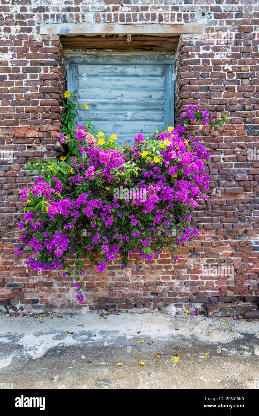 English Harbour Antigua Foto Stock