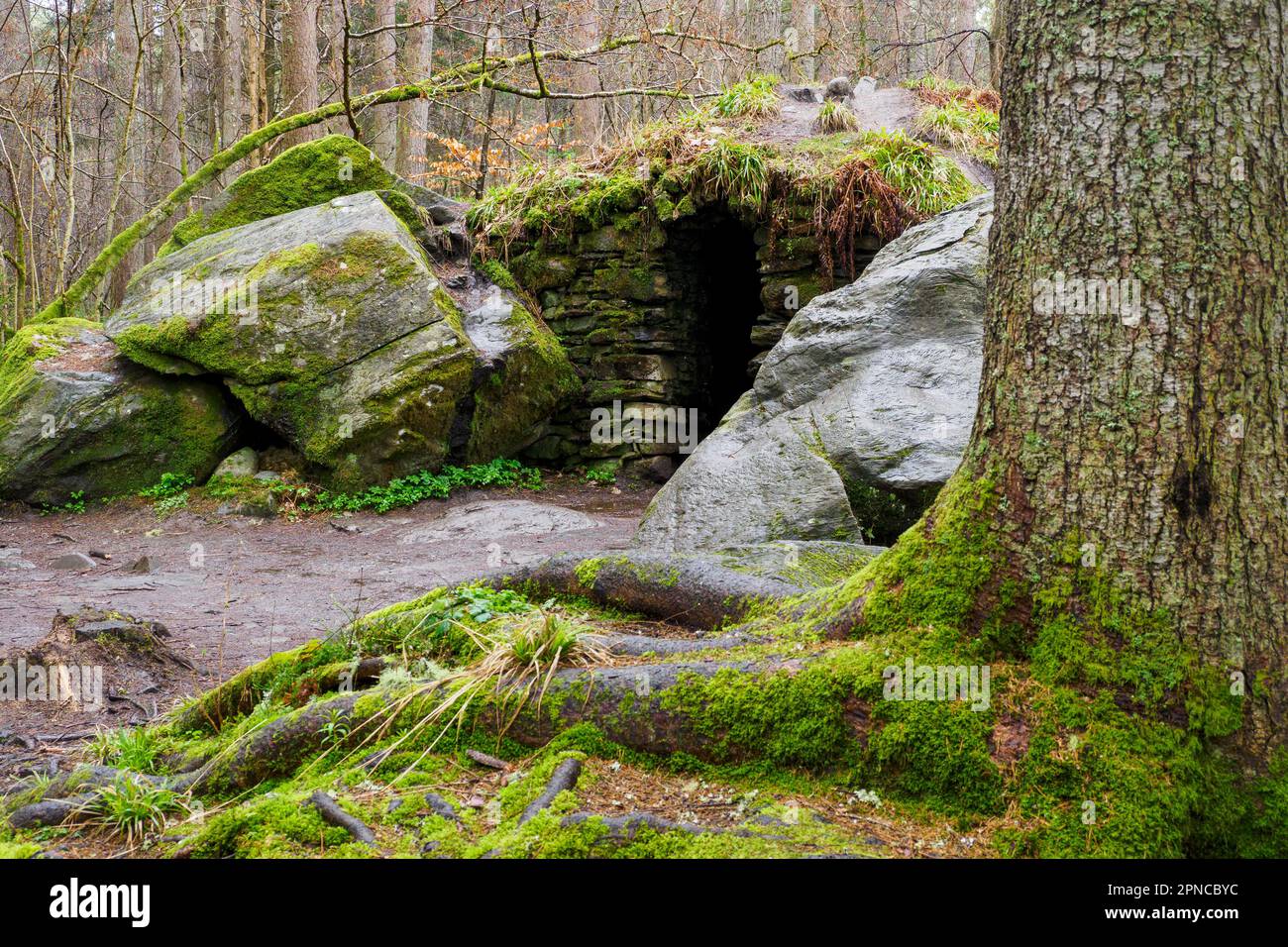 Grotta di Ossian all'Hermitage vicino a Dunkeld, Scozia Foto Stock