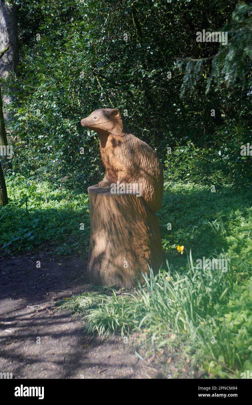 Scultura animale in legno realizzata utilizzando una motosega Foto Stock