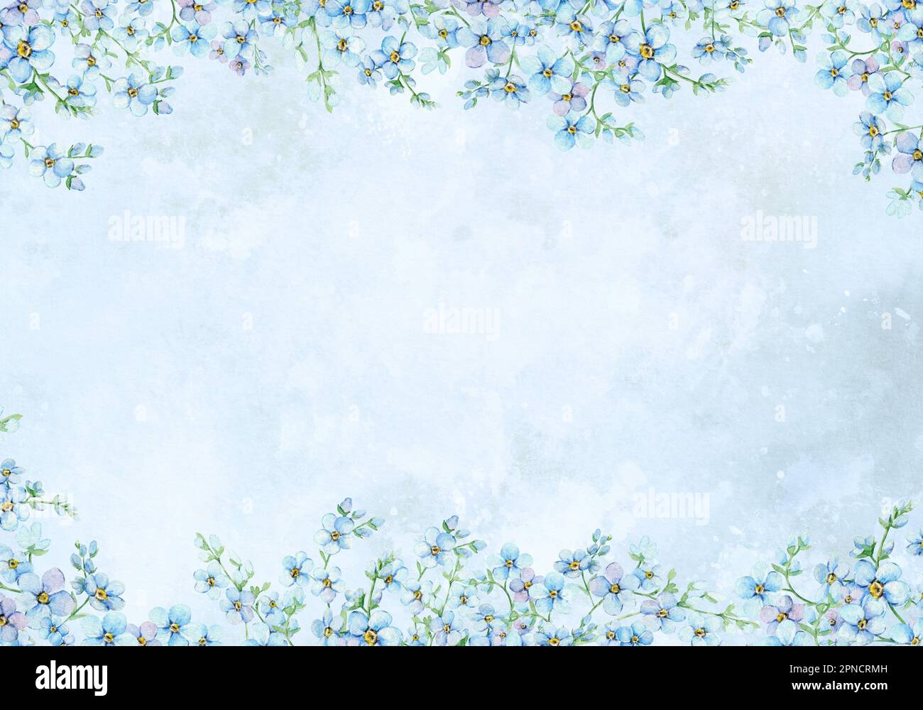 Acquerello blu dimentica-me-not. modello floreale di invito di nozze. Illustrazione botanica disegnata a mano. Foto Stock