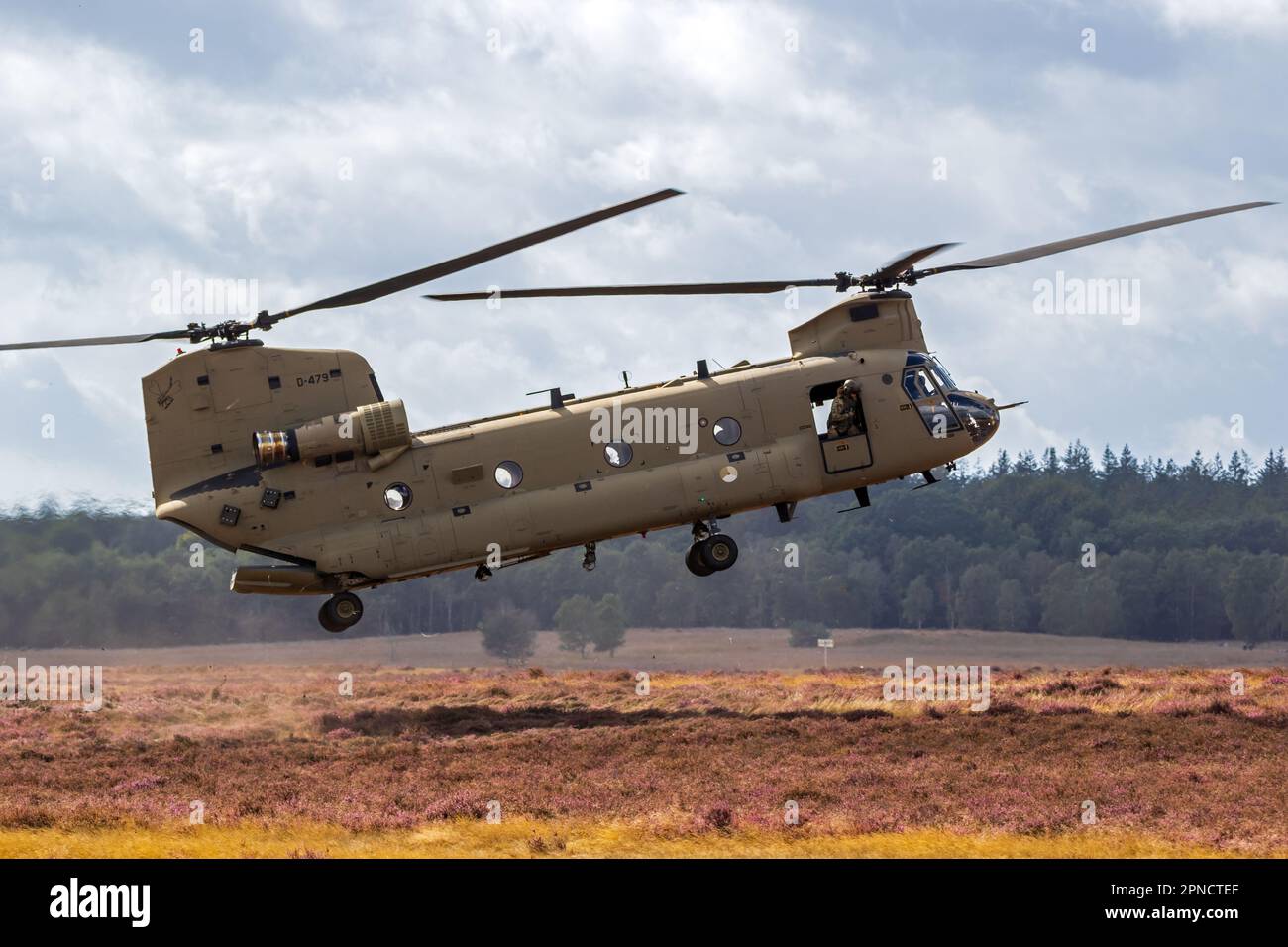 Boeing CH-47F elicottero Chinook in arrivo in una zona di atterraggio. Ginkelse Heide, Paesi Bassi - 17 settembre 2022 Foto Stock