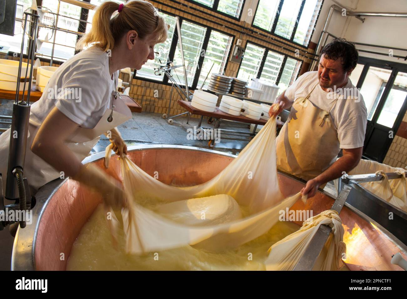 Produzione di Parmigiano Reggiano presso il caseificio Hombre, Modena, Emilia Romagna, Europa, Italia Foto Stock