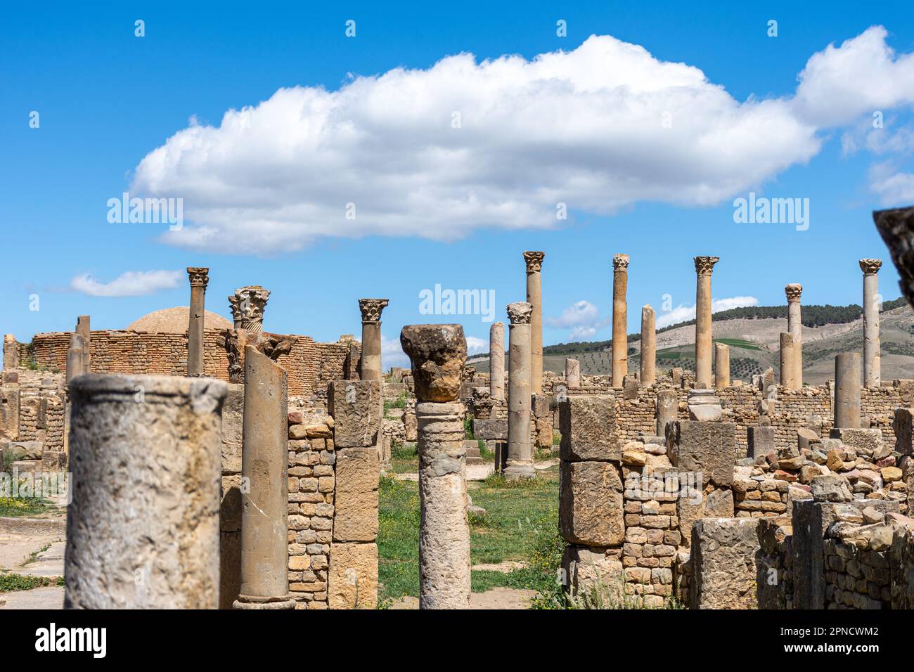 Vista delle colonne romane nell'antica città di Cuicul-Djemila. Sito patrimonio dell'umanità dell'UNESCO. Foto Stock