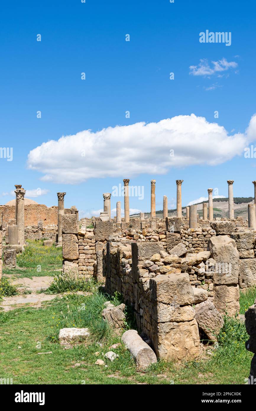 Vista delle colonne romane nell'antica città di Cuicul-Djemila. Sito patrimonio dell'umanità dell'UNESCO. Foto Stock