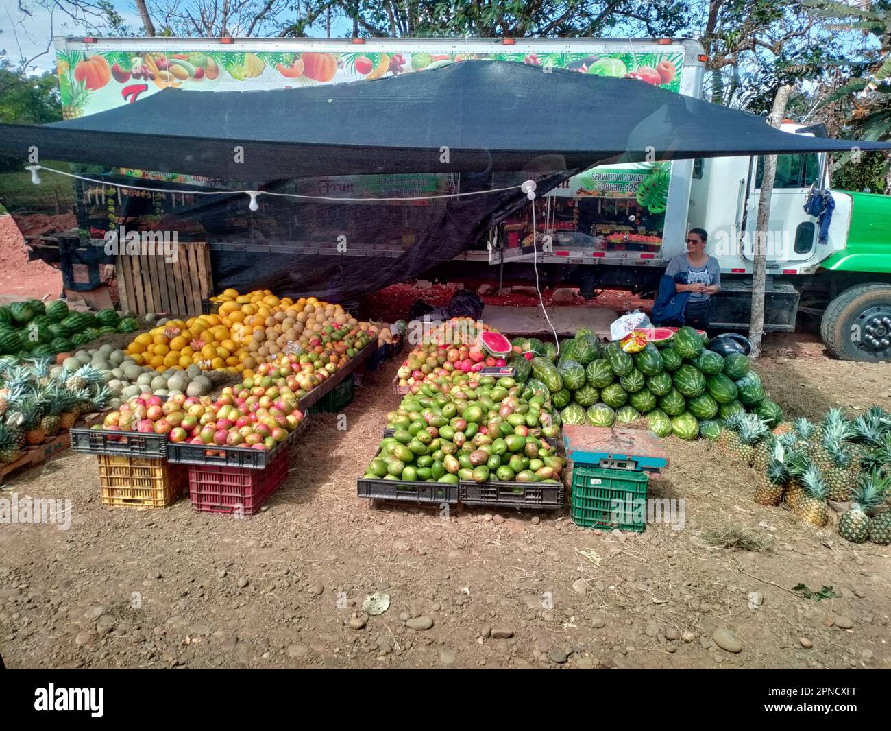 Muelle San Carlos, Costa Rica - Una frutta stand lungo una strada rurale. Foto Stock