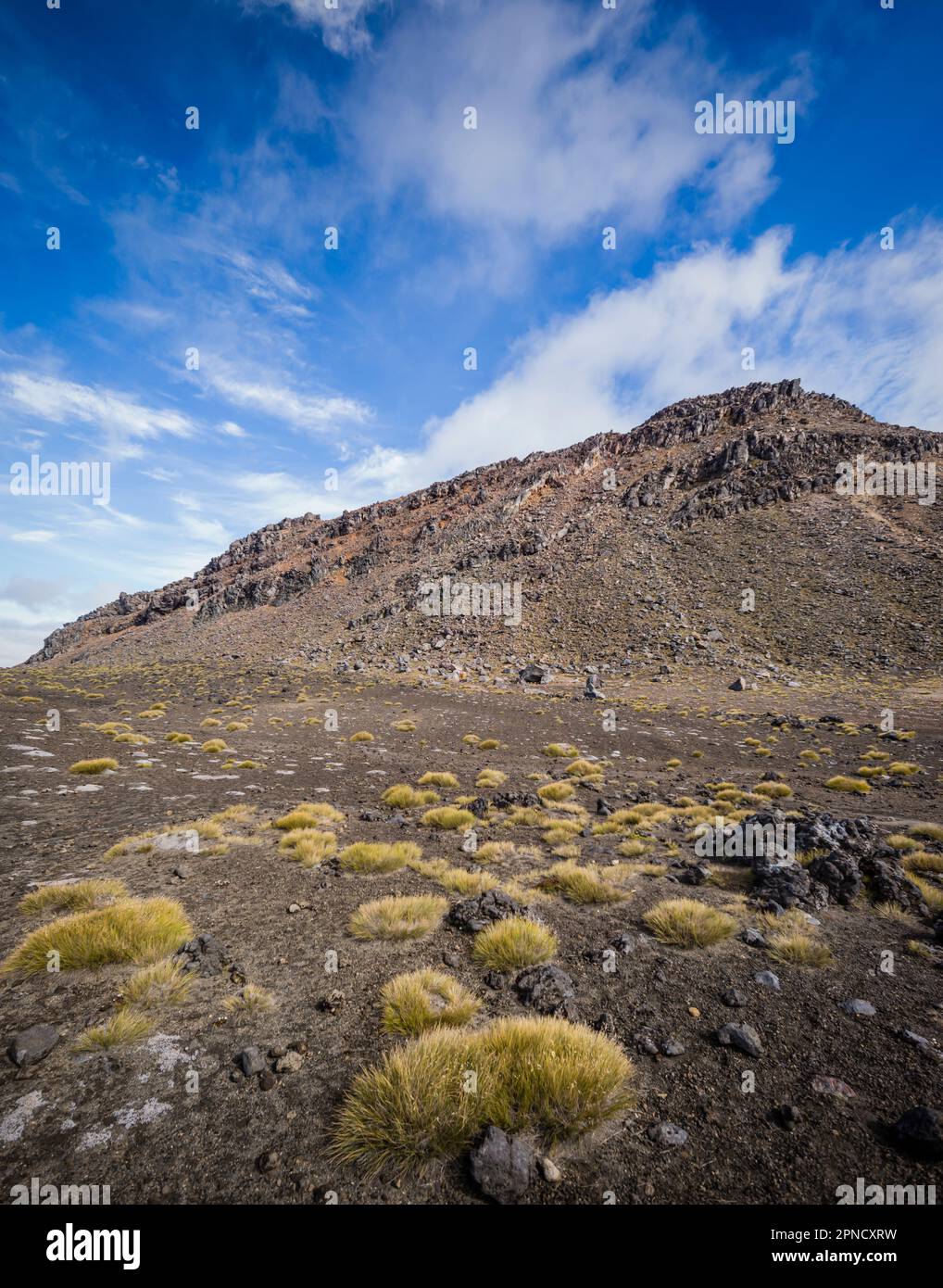 Il paesaggio vulcanico del Tongariro, Isola del Nord, nuova Zelanda Foto Stock