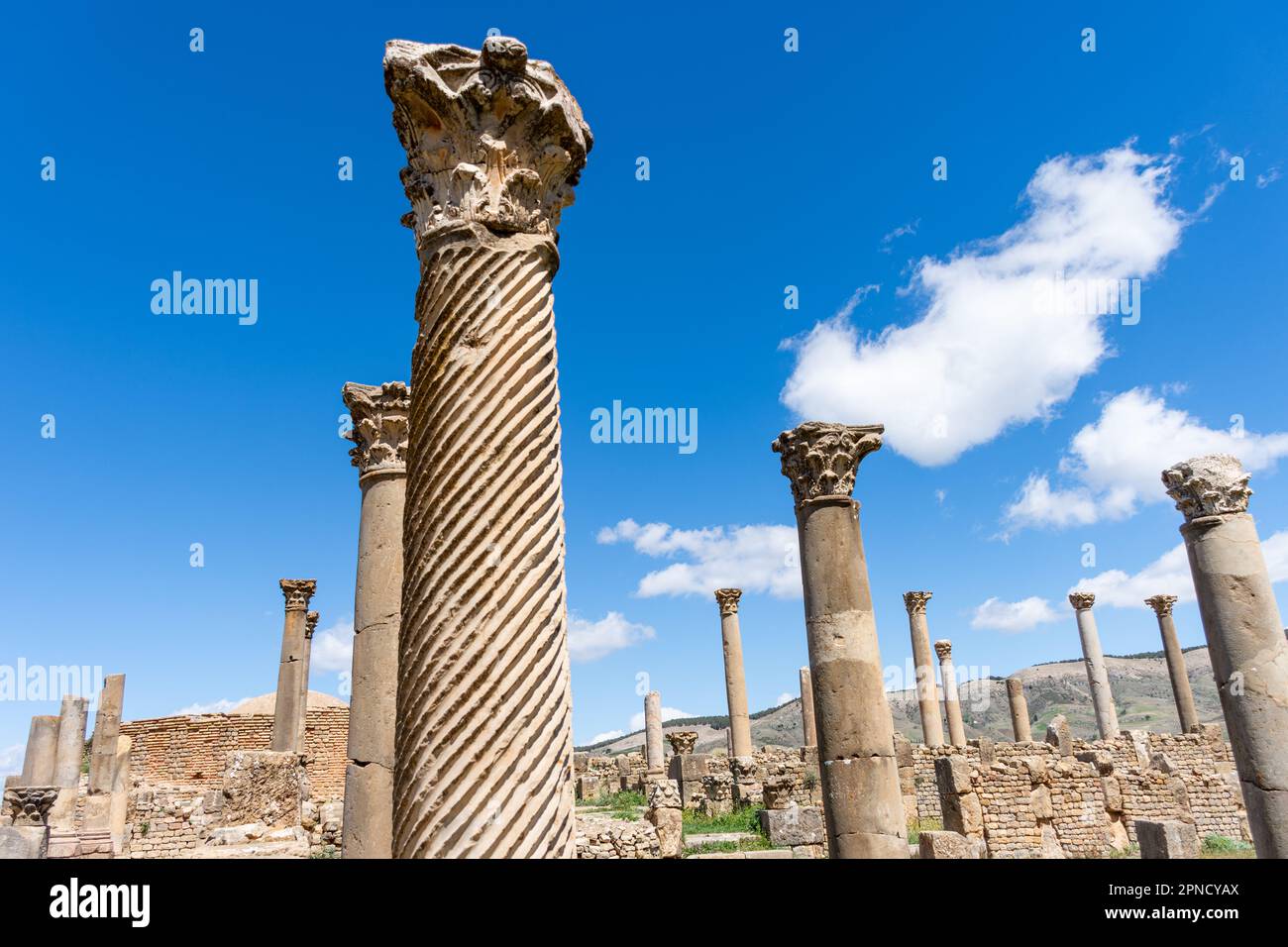 Vista delle colonne romane nell'antica città di Cuicul-Djemila. Sito patrimonio dell'umanità dell'UNESCO. Foto Stock