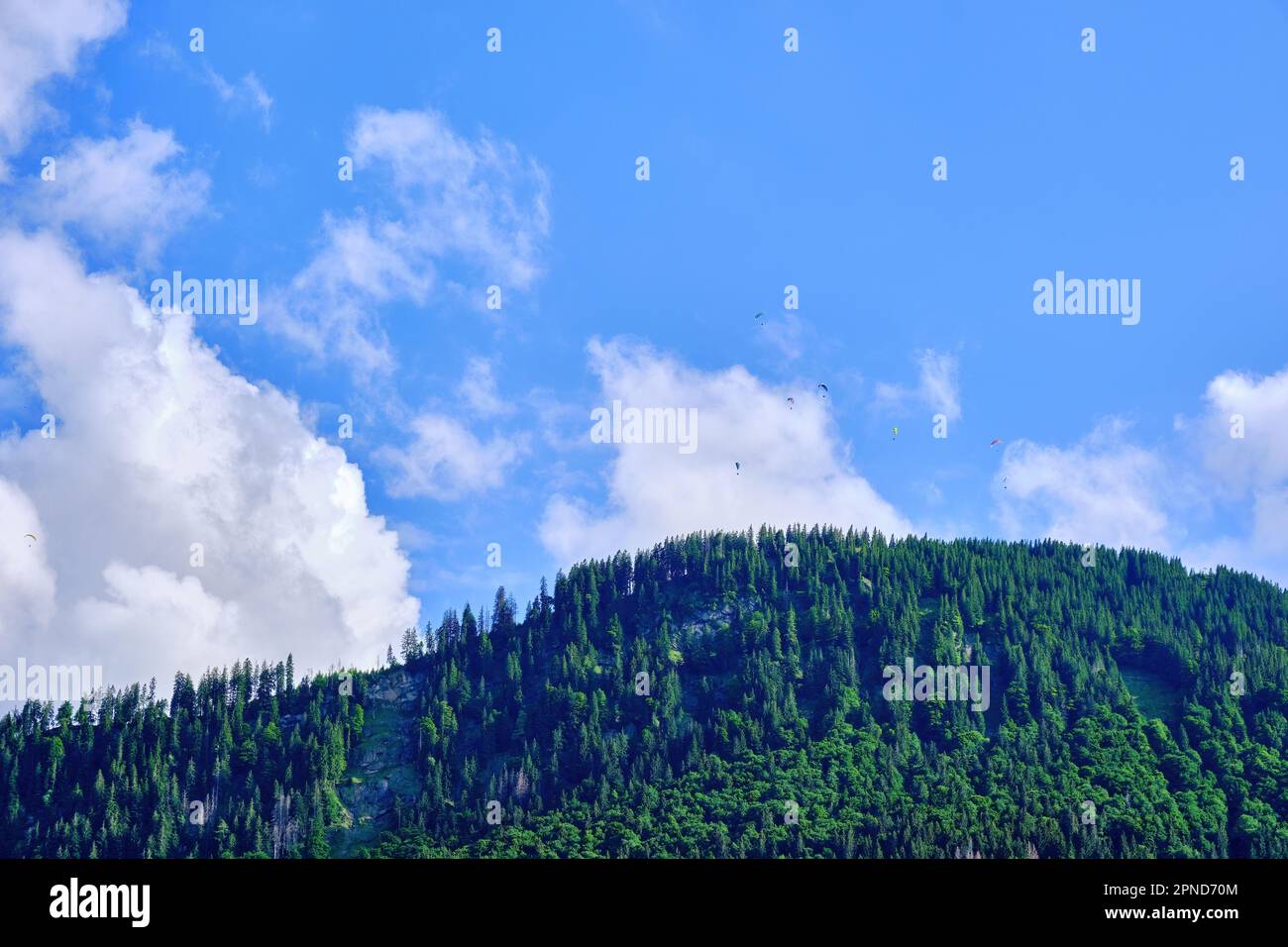 I parapendio si aggirano sulla cima di una montagna. Foto Stock