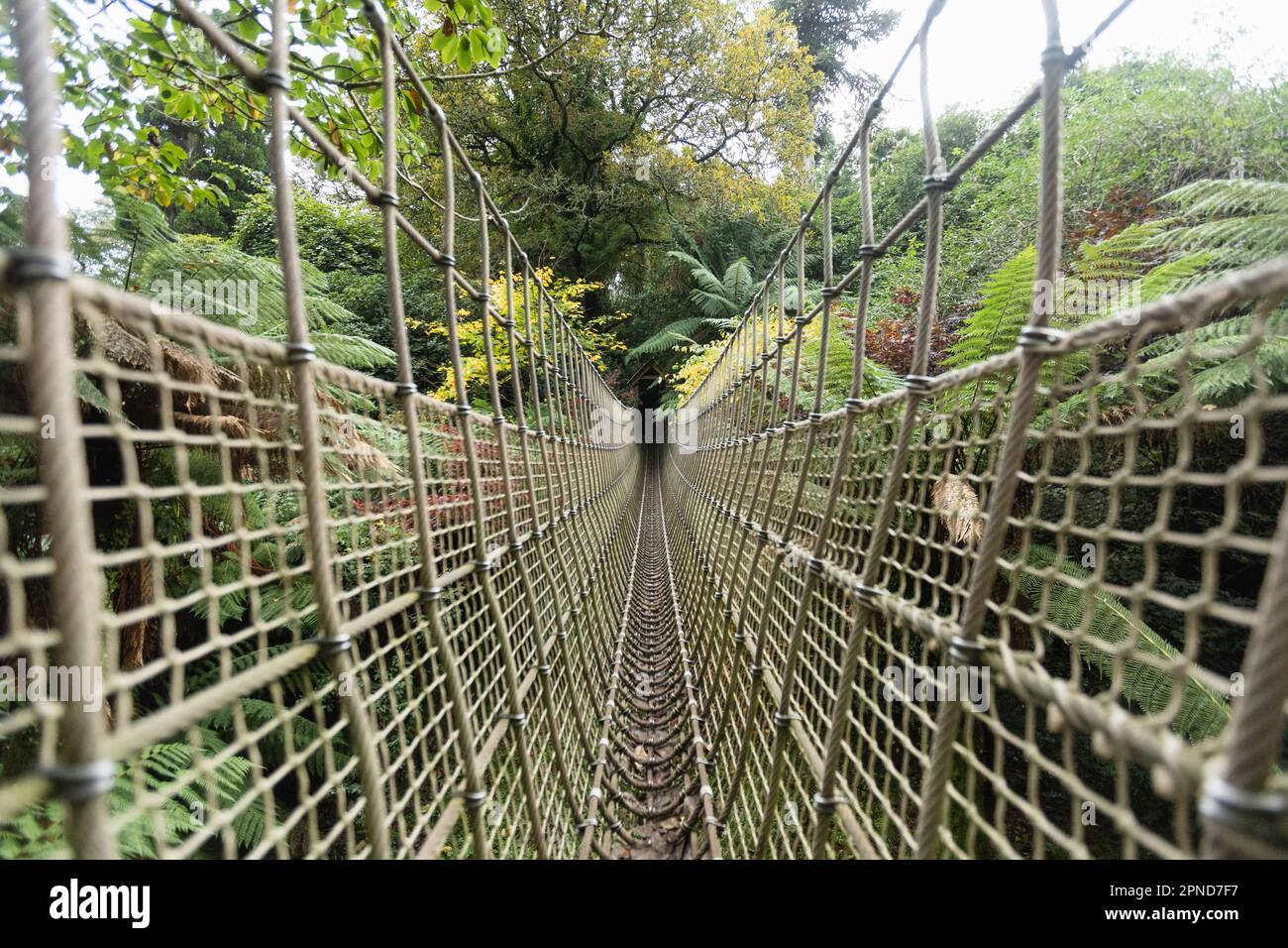 Un ponte di corda nei Giardini perduti di Helligan il 30th ottobre 2022 a Pentewan, Cornovaglia, Inghilterra. Credit: Notizie SMP Foto Stock