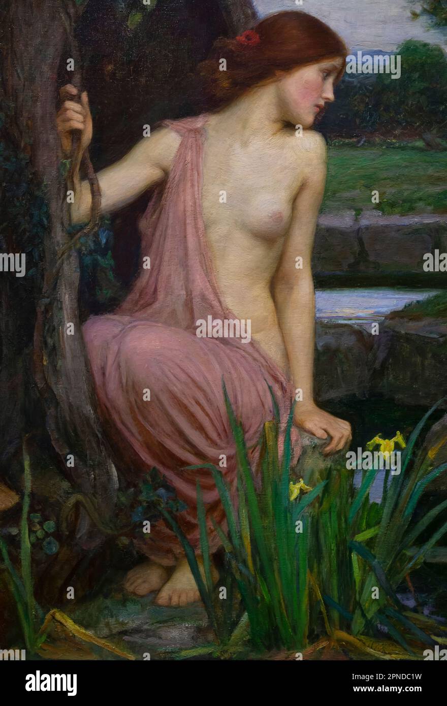 ECHO e Narcissus, John William Waterhouse, dettaglio, 1903, Foto Stock