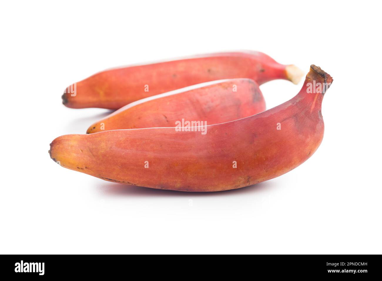 Gustose banane rosse isolate su sfondo bianco. Foto Stock