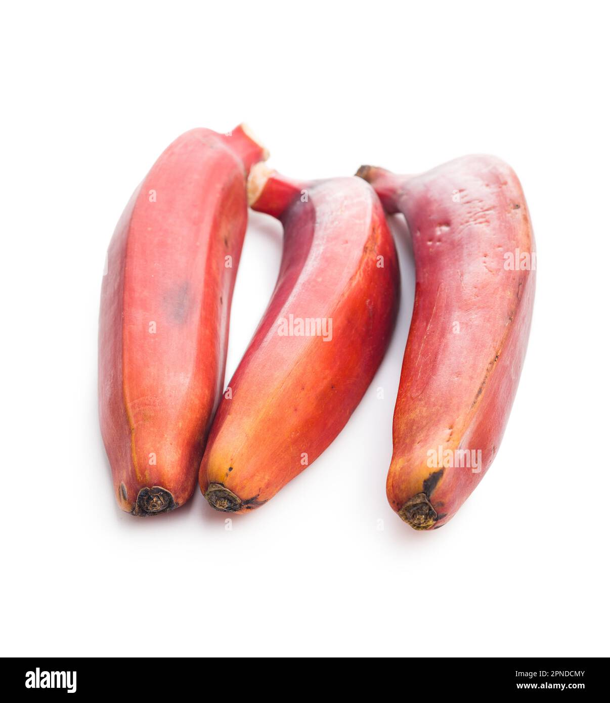Gustose banane rosse isolate su sfondo bianco. Foto Stock