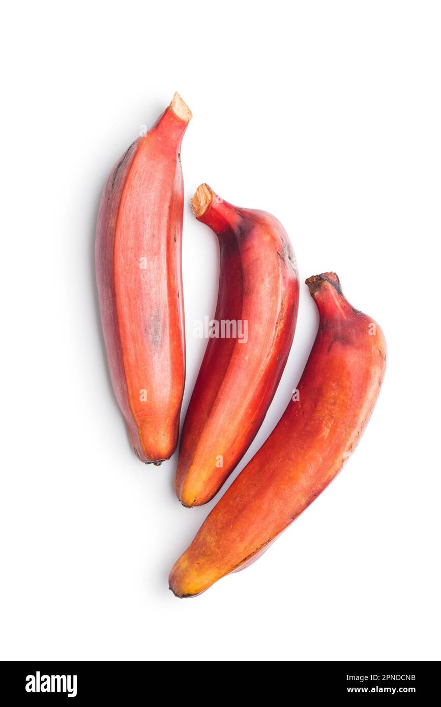 Gustose banane rosse isolate su sfondo bianco. Foto Stock