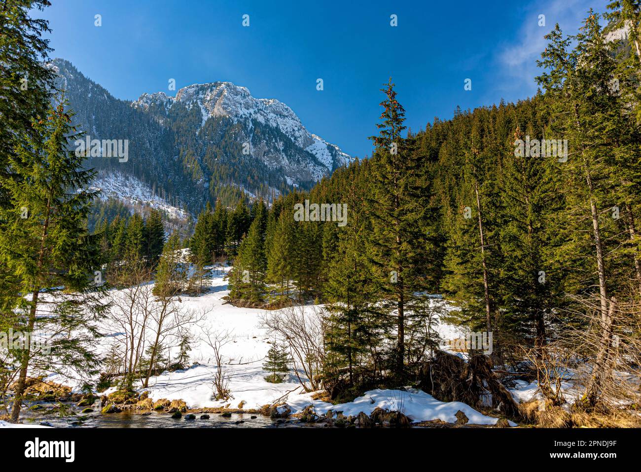 Koscieliska Dolina. Tatry. Fot.Wojciech Fondalinski Foto Stock