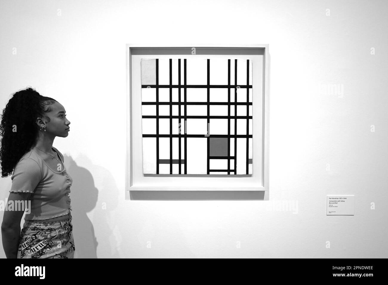 albero grigio mondrian - 7 Piet albero grigio mondrian immagini e fotografie stock ad alta risoluzione - Alamy