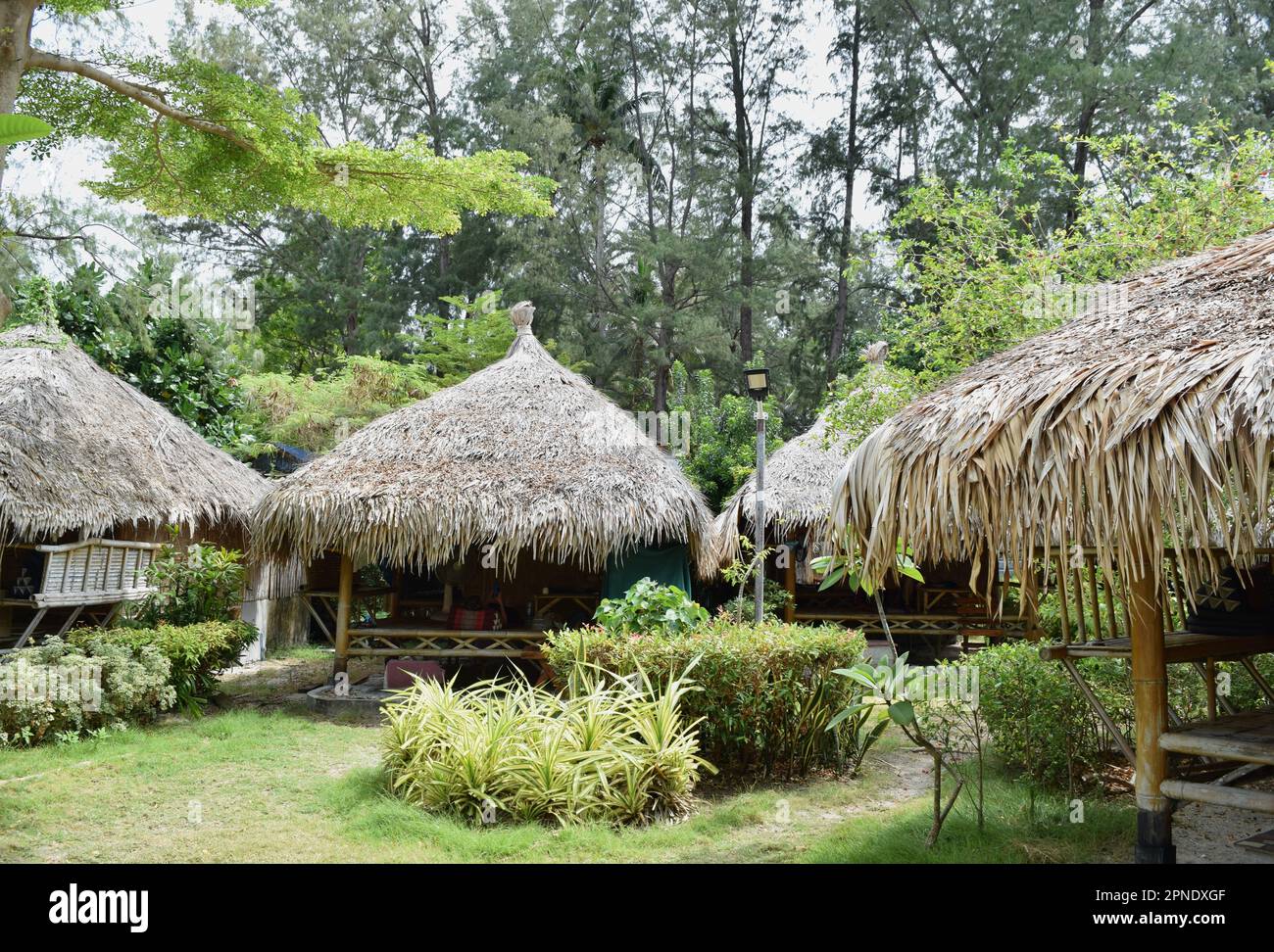 Alloggio turistico circondato con junglein Koh Lipe isola Thailandia. Foto Stock