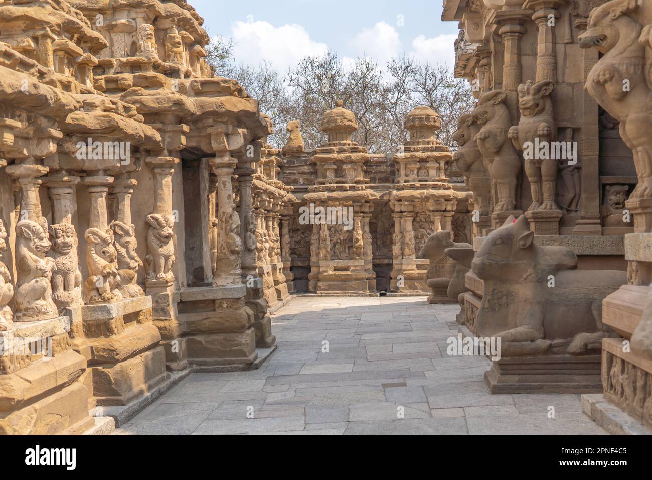Corridoio del tempio con le sue splendide sculture antiche di leone mitologico e nandhi (dio del toro) al tempio di Kailasanatha, Kanchipuram (Kancheepuram Kanjiva Foto Stock