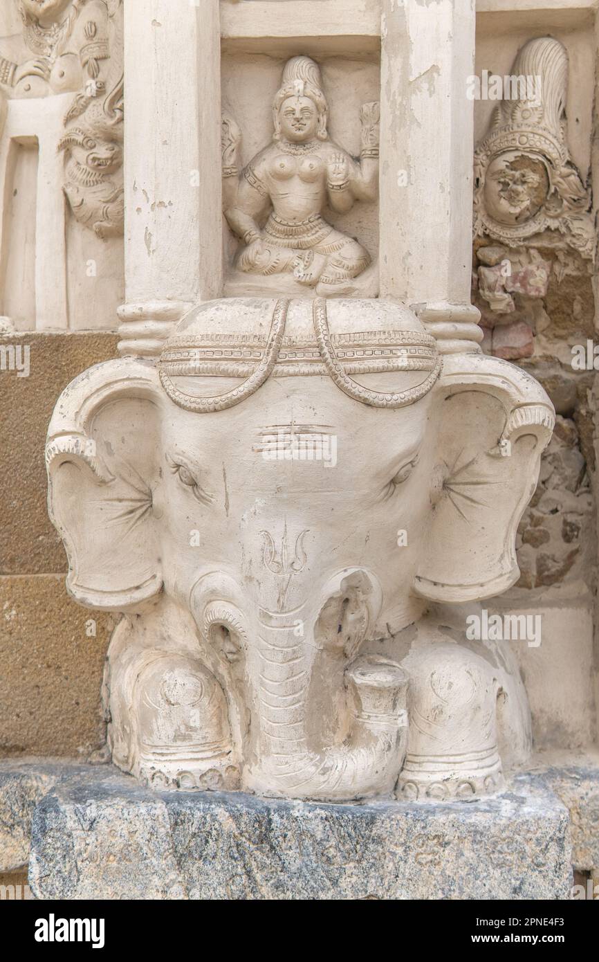 Antica scultura di elefante nello storico tempio di Kailasanatha, Kanchipuram (Kancheepuram Kanjivaram), Tamil-Nadu, India. Foto Stock