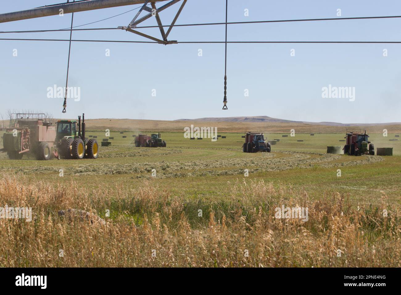 Incorniciato da parti del sistema di irrigazione a perno centrale del campo, quattro imballatrici raccolgono andane di erba medica, vicino ad Augusta, MT. Foto Stock