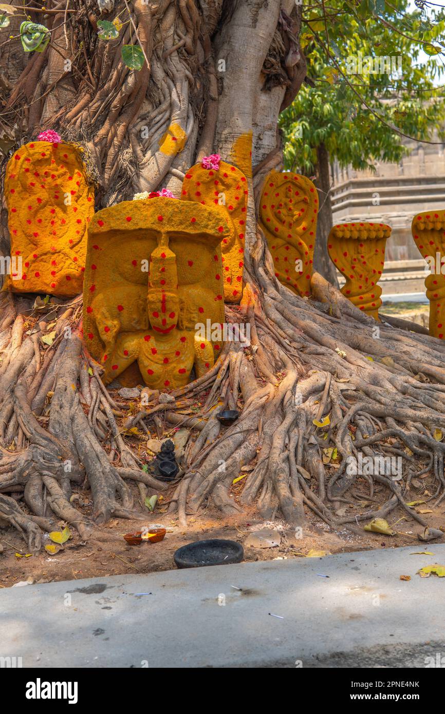 Uno dei 108 desams divya al tempio di Vaikunta Perumal è una statua del dio serpente. Foto Stock