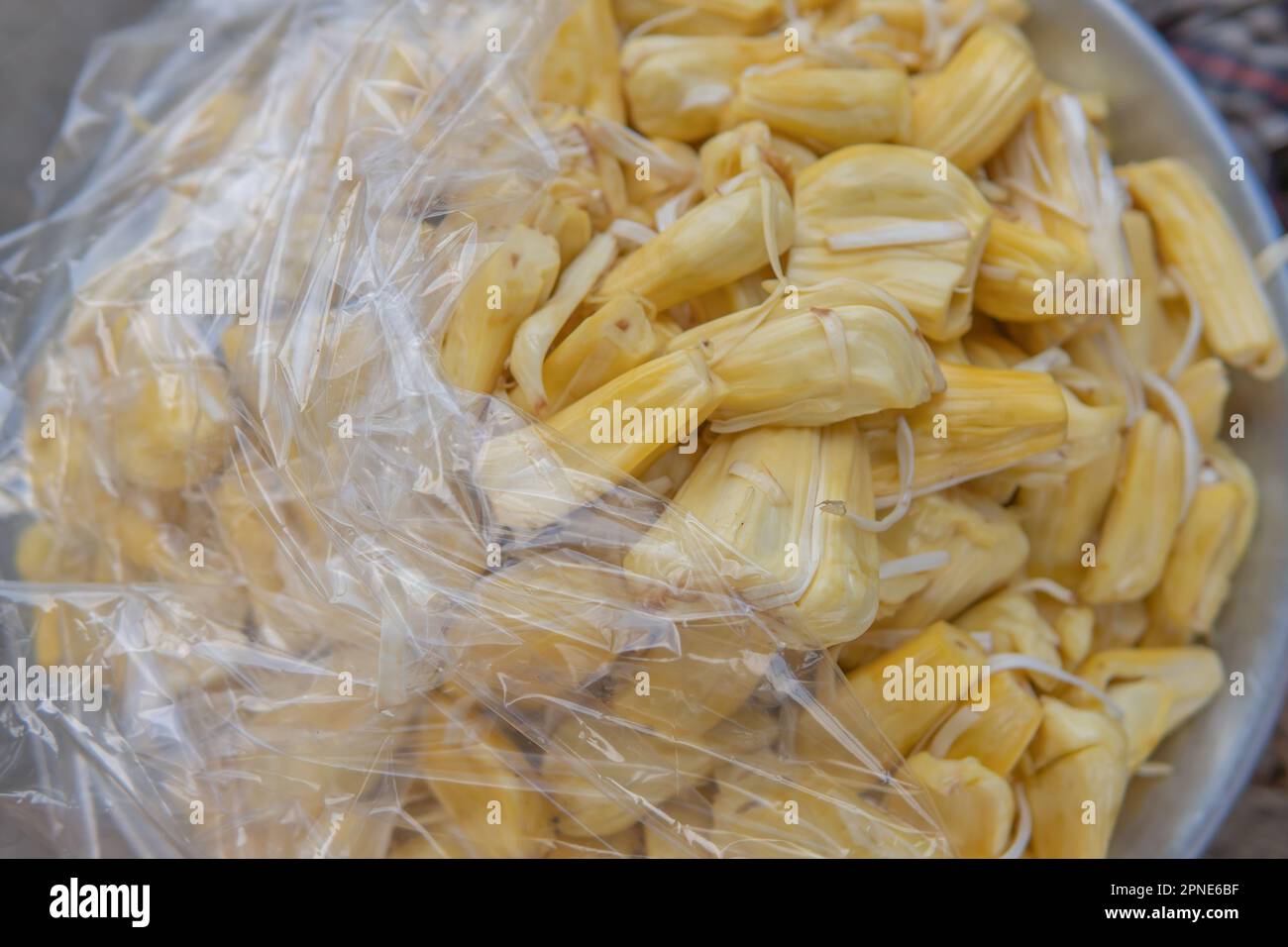 Il jackfruit, maturo e semi-chiuso con coperchio in plastica trasparente e pronto per essere venduto, è di colore giallo. Foto Stock