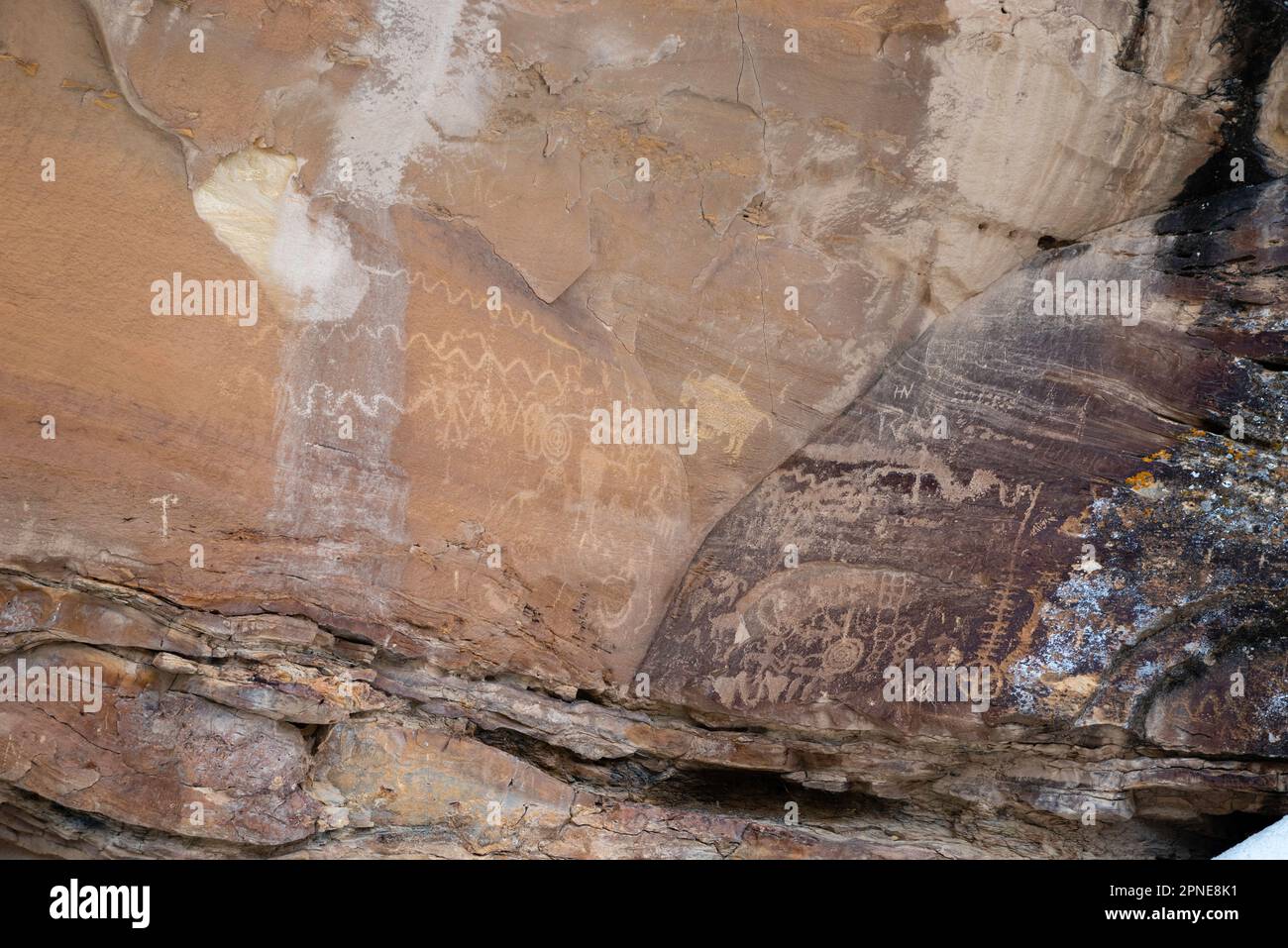 Petroglyph vicino al Big Buffalo Panel, un antico petroglifo dei nativi americani, nel Nine Mile Canyon, Carbon County, vicino a Price, Utah, USA. Foto Stock