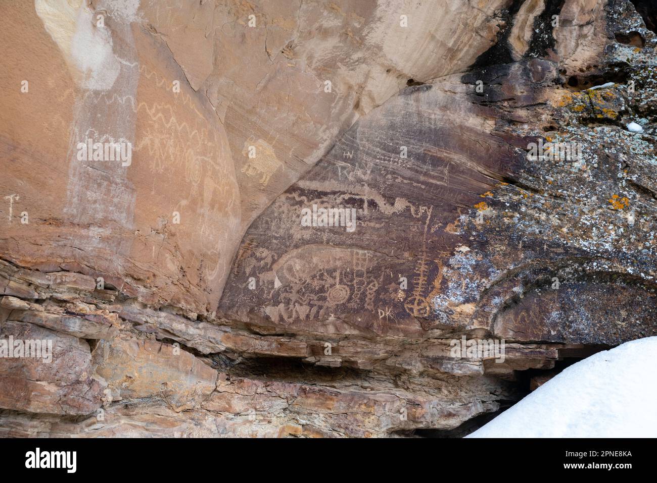 Petroglyph vicino al Big Buffalo Panel, un antico petroglifo dei nativi americani, nel Nine Mile Canyon, Carbon County, vicino a Price, Utah, USA. Foto Stock