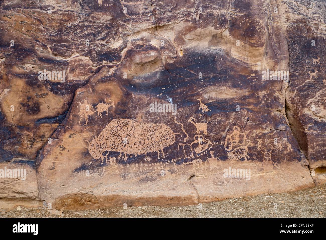 The Big Buffalo Panel, un antico petroglifo dei nativi americani, nel Nine Mile Canyon, Carbon County, vicino a Price, Utah, USA. Foto Stock